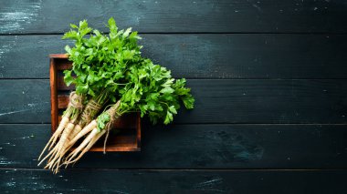 Ahşap bir arka planda kök maydanoz. Üst görünüm. Metniniz için boş alan.