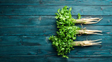 Ahşap bir arka planda kök maydanoz. Üst görünüm. Metniniz için boş alan.