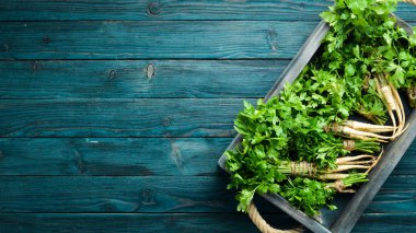 Ahşap bir arka planda kök maydanoz. Üst görünüm. Metniniz için boş alan.