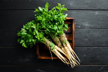 Ahşap bir arka planda kök maydanoz. Üst görünüm. Metniniz için boş alan.