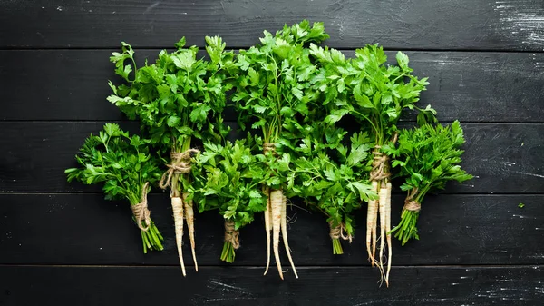 Root parsley on a wooden background. Top view. Free space for your text.