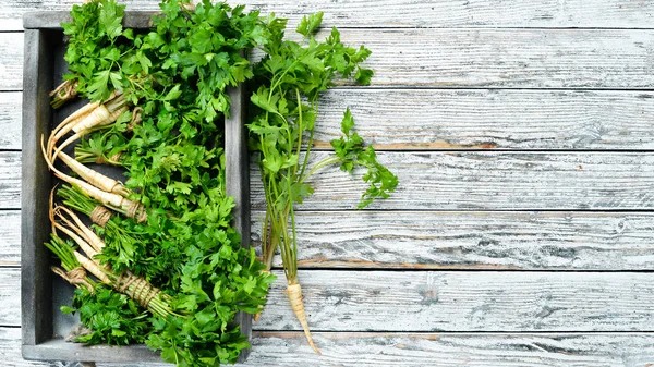 Parsley root on a white wooden background. Top view. Free space for your text.