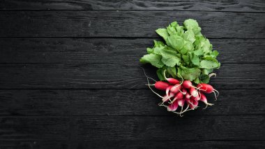 Tahta bir masada taze turp. Taze sebzeler. Üst te. Metin için boş alan.