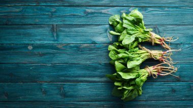 Mavi ahşap arka planda taze ıspanak. Sağlıklı yiyecekler. Üst te. Metniniz için boş alan.