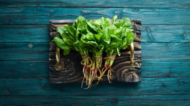 Mavi ahşap arka planda taze ıspanak. Sağlıklı yiyecekler. Üst te. Metniniz için boş alan.