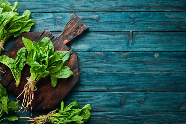 Mavi ahşap arka planda taze ıspanak. Sağlıklı yiyecekler. Üst te. Metniniz için boş alan.