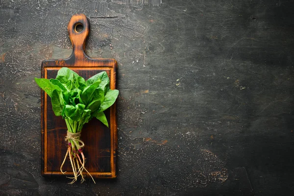 Kahverengi bir arka plan üzerinde taze ıspanak. Sağlıklı yiyecekler. Üst te. Metniniz için boş alan.