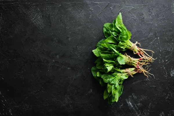 Siyah taş bir masada taze yeşil ıspanak. Üst te. Metniniz için boş alan.