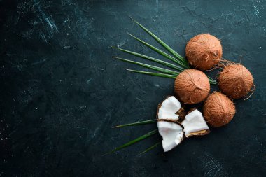 Hindistan cevizi palmiye yaprakları ile siyah bir taş arka plan üzerinde. Tropikal Meyveler. Somun. Üst te. Metniniz için boş alan.