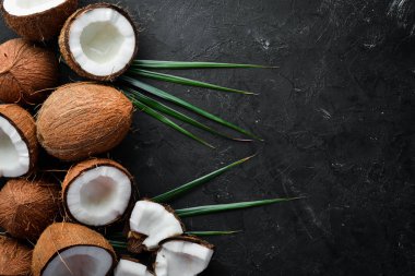 Hindistan cevizi palmiye yaprakları ile siyah bir taş arka plan üzerinde. Tropikal Meyveler. Somun. Üst te. Metniniz için boş alan.