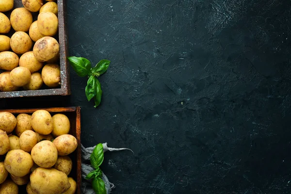 Batatas Frescas Caixa Comida Orgânica Vista Superior Espaço Livre Para — Fotografia de Stock