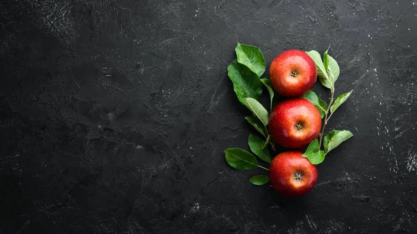 Fresh red apples with green leaves on a black background. Fruits. Top view. Free space for text