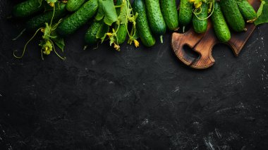 Siyah bir arka plan üzerinde yeşil yaprakları ile taze salatalık. Üst te. Metniniz için boş alan.