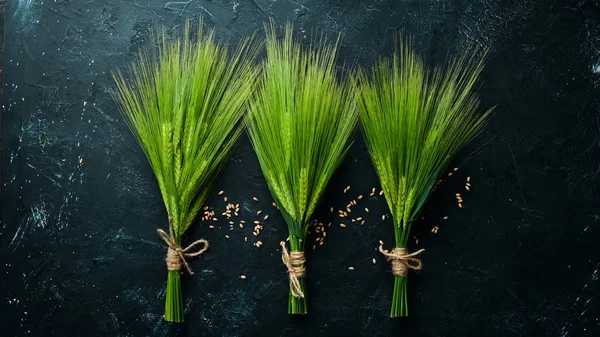 Groene Rogge Een Zwarte Stenen Tafel Bovenaanzicht Vrije Ruimte Voor — Stockfoto