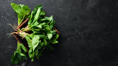Siyah taş bir masada taze yeşil ıspanak. Üst te. Metniniz için boş alan.