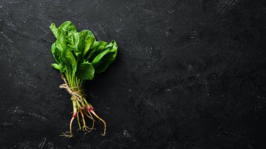 Siyah taş bir masada taze yeşil ıspanak. Üst te. Metniniz için boş alan.