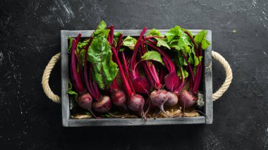 Siyah taş arka planda yaprakları ile taze pancar. Sağlıklı yiyecekler. Üst görünüm. Metniniz için boş alan.