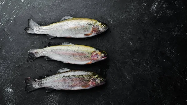 Raw fish trout on a black background. Top view. Free space for your text.