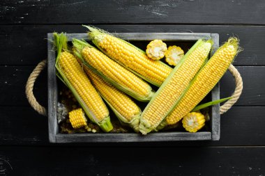 Ahşap kutuda Mısır. Sebze. Üst görünüm. Ücretsiz kopya alanı.