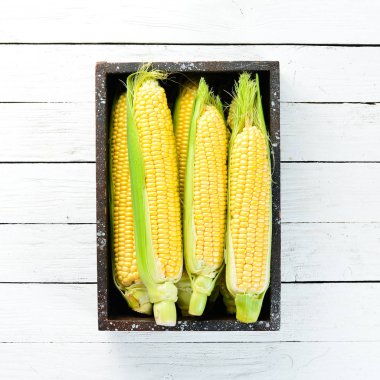 Ahşap kutuda Mısır. Sebze. Üst görünüm. Ücretsiz kopya alanı.