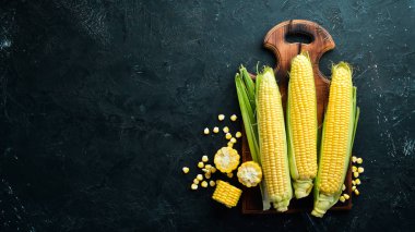 Siyah bir arka planda taze mısır. Sebze. Üst görünüm. Ücretsiz kopya alanı.