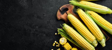 Siyah bir arka planda taze mısır. Sebze. Üst görünüm. Ücretsiz kopya alanı.