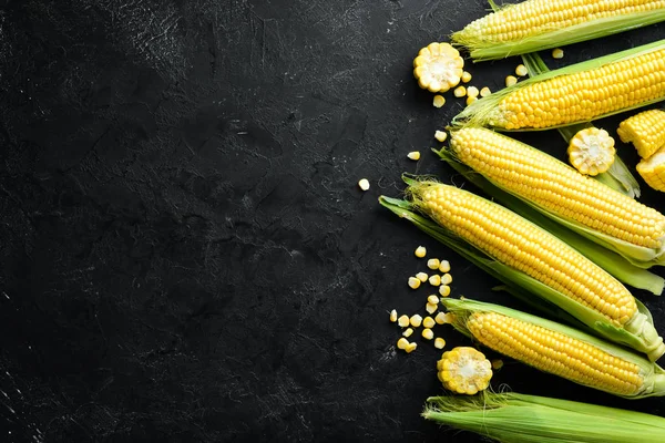 黒い背景に新鮮なトウモロコシ トップビュー 無料コピースペース — ストック写真