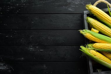 Siyah bir arka planda taze mısır. Sebze. Üst görünüm. Ücretsiz kopya alanı.