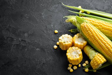 Siyah bir arka planda taze mısır. Sebze. Üst görünüm. Ücretsiz kopya alanı.