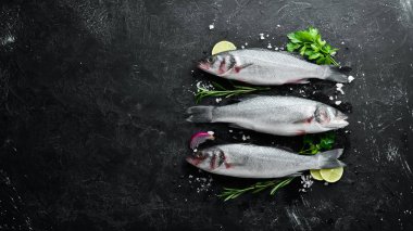 Deniz balığı Levrek. Siyah taş arka planda deniz ürünleri. Üst görünüm. Ücretsiz kopya alanı.