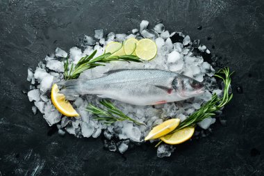 Deniz balığı Levrek. Siyah taş arka planda deniz ürünleri. Üst görünüm. Ücretsiz kopya alanı.