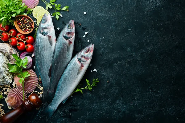 Deniz balığı Levrek. Siyah taş arka planda deniz ürünleri. Üst görünüm. Ücretsiz kopya alanı.