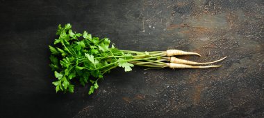 Ahşap bir arka planda kök maydanoz. Üst görünüm. Metniniz için boş alan.