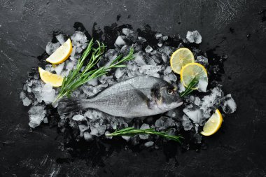 Buz üzerinde limon ve biberiye ile Dorado balık. Üst te. Metniniz için boş alan.