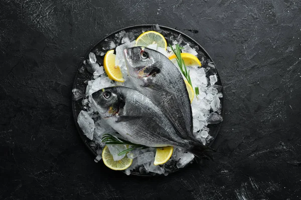 Dorado Pescado Con Limón Romero Sobre Hielo Vista Superior Espacio — Foto de Stock