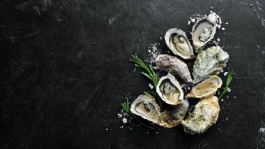 Taze İstiridye. Deniz ürünleri. Üst te. Siyah bir arka plan üzerinde. Ücretsiz kopyalama alanı.