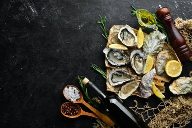 Taze İstiridye. Deniz ürünleri. Üst te. Siyah bir arka plan üzerinde. Ücretsiz kopyalama alanı.