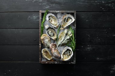 Buz üzerinde limon lu istiridye. Deniz ürünleri. Üst te. Siyah bir arka plan üzerinde. Ücretsiz kopyalama alanı.