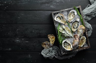 Buz üzerinde limon lu istiridye. Deniz ürünleri. Üst te. Siyah bir arka plan üzerinde. Ücretsiz kopyalama alanı.