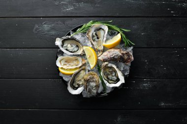 Buz üzerinde limon lu istiridye. Deniz ürünleri. Üst te. Siyah bir arka plan üzerinde. Ücretsiz kopyalama alanı.