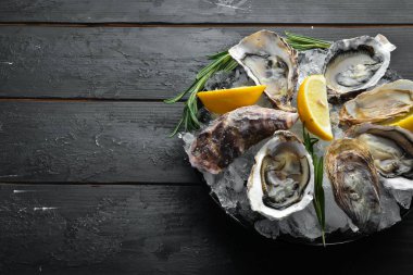 Buz üzerinde limon lu istiridye. Deniz ürünleri. Üst te. Siyah bir arka plan üzerinde. Ücretsiz kopyalama alanı.