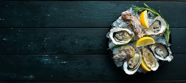 Oester Met Citroen Ijs Zeevruchten Bovenaanzicht Een Zwarte Achtergrond Vrije — Stockfoto