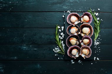 Baharatlı taze deniz tarağı. Deniz ürünleri. Üst te. Siyah bir arka plan üzerinde. Ücretsiz kopyalama alanı.