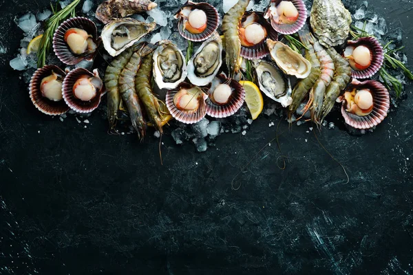 Mariscos Ostras Vieiras Camarones Vista Superior Sobre Fondo Negro Espacio —  Fotos de Stock