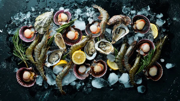 Mariscos Ostras Vieiras Camarones Vista Superior Sobre Fondo Negro Espacio —  Fotos de Stock