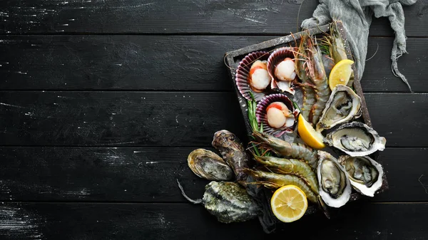 Zeevruchten Oesters Sint Jakobsschelpen Garnalen Bovenaanzicht Een Zwarte Achtergrond Vrije — Stockfoto