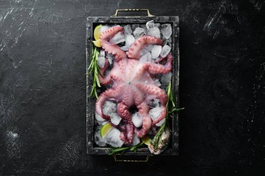 Buzun üstünde ahtapot. Siyah taş bir arka plan üzerinde. Üst te. Ücretsiz kopyalama alanı.