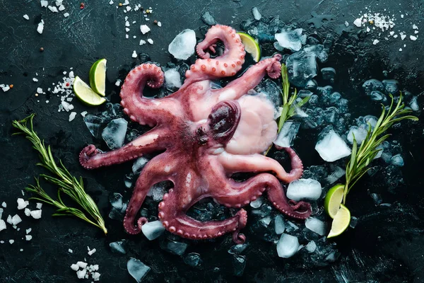 Octopus Het Ijs Een Zwarte Stenen Achtergrond Bovenaanzicht Vrije Kopieer — Stockfoto