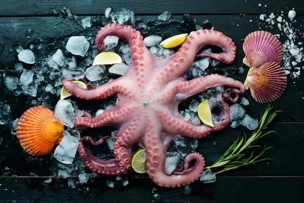 Octopus Het Ijs Een Zwarte Stenen Achtergrond Bovenaanzicht Vrije Kopieer — Stockfoto