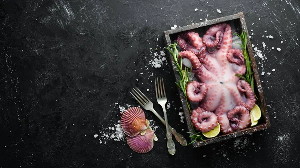 Octopus Het Ijs Een Zwarte Stenen Achtergrond Bovenaanzicht Vrije Kopieer — Stockfoto